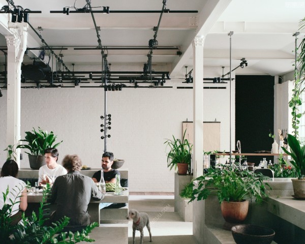 绿树成荫，照明品牌PSLab的伦敦总部办公室空间设计