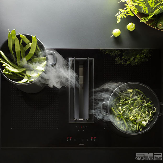 Integrated cooking systems系列--电磁炉,falmec,厨房、厨房电器